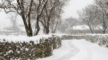 Бүгін Астанада жел күшейіп, көктайғақ болады
