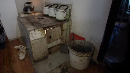 Жыл басталғалы елімізде тілсіз жаудан 46 адам көз жұмды