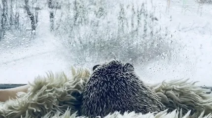 Гололед и ветер в Астане, без осадков в Алматы: погода в субботу, 22 ноября