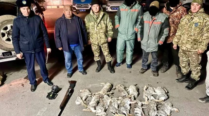 Браконьеров задержали в «тигрином» резервате у Балхаша