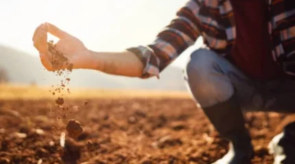 Абай облысында 171,2 мың гектар жер мемлекетке қайтарылды