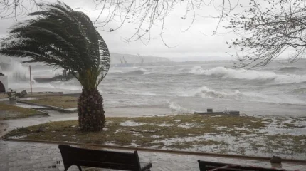 Австралияның солтүстігіне «Фина» дауылынан 19 мың адам жарықсыз қалды