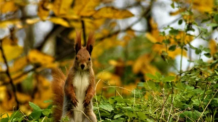 Прогноз погоды на 24 ноября 2025 года в Казахстане