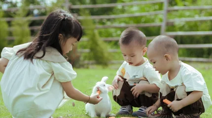 Қазақстан туу көрсеткіші жоғары елдердің қатарына енді