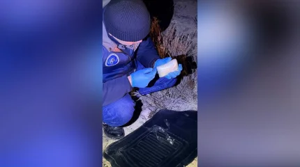 Маңғыстау облысында заңсыз айналымнан ірі көлемде "синтетика" тәркіленді