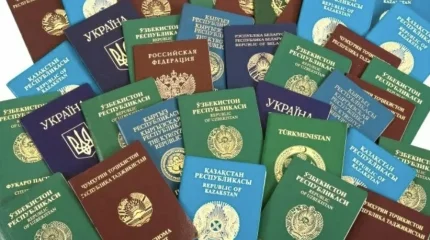 50 случаев двойного гражданства выявили в ВКО