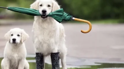 Еще одну теплую неделю обещают казахстанцам синоптики