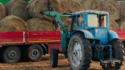 40 млн тонна мал азығы жиналды