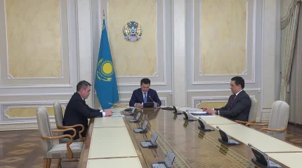 Мемлекеттік кеңесші Азаматтық мәселелері жөніндегі комиссияның кезекті отырысын өткізді