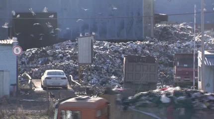 Үш ірі мегаполисте қоқыс өртейтін зауыт салынады