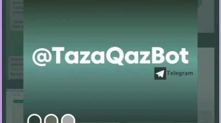 Биыл @TazaQazBot телеграм-чат-боты арқылы 24 мыңнан астам өтінім түсті