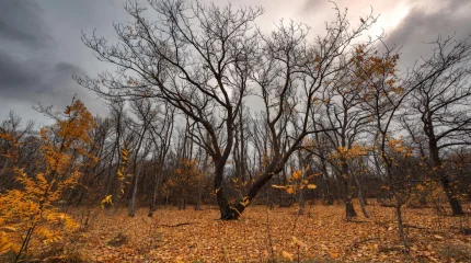 Прогноз погоды на 27 ноября 2025