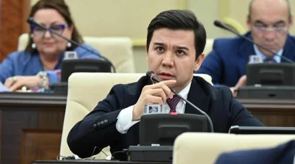 "Ет экспортқа тыйым салу – экономикалық тұрғыдан негізсіз деп санаймын", - депутат