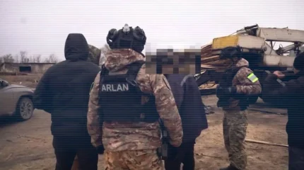 ІІМ: Қостанай облысында орманды заңсыз кесу схемасы әшкереленді