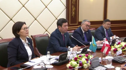 Спикер Мажилиса принял заместителя Председателя нижней палаты Парламента Австрии