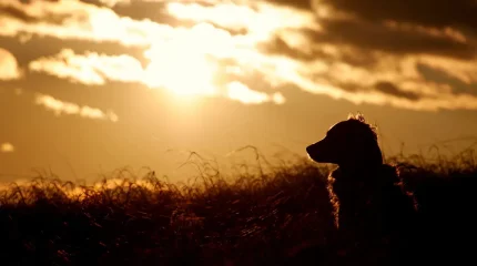 Погоду без осадков прогнозируют во всех мегаполисах в пятницу, 28 ноября
