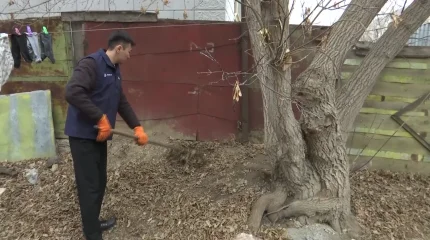 Активисты «Жастар рухы» партии «AMANAT» оказывают помощь пенсионерам в рамках акции «Ардагерлерді ардақтайық»