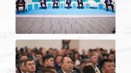 Ауыл әкімдерінің диалог-платформасы панельдік сессияларда жалғасты