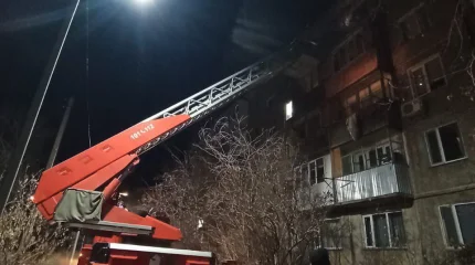 ТЖМ құтқарушылары 3 балаға көмекке келді