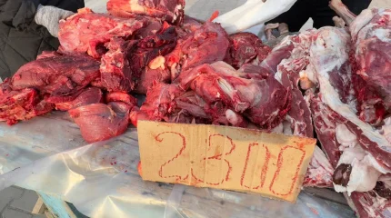 Бүгінгі жәрмеңкеде қызылордалықтар сиыр етін 2500 теңгеден сатып алды