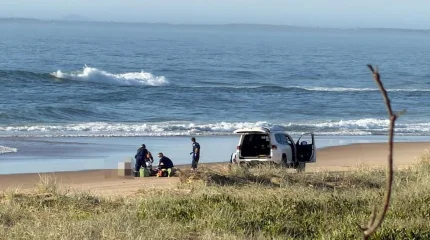 Девушка погибла после нападения акулы в Австралии
