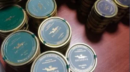 На границе с Кыргызстаном пресечены попытки незаконного ввоза утиного мяса и икры