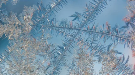 Тұман, көктайғақ: синоптиктер  дауылды ескерту жариялады