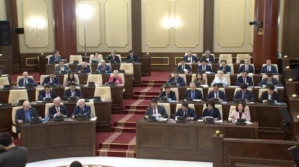 В Казахстане могут отменить выборы районных акимов