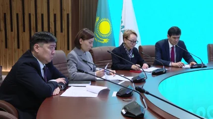 Социальный кошелек позволяет экономить миллионы бюджетных средств – "AMANAT"