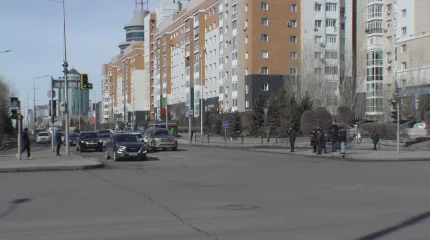 46 жалған диплом әзірлеген 20 сайт анықталды