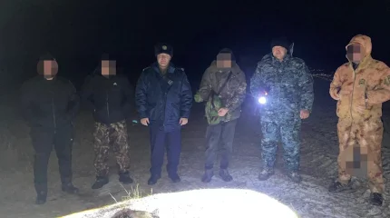 Уголовным делом завершилась охота на зайца в Костанайской области