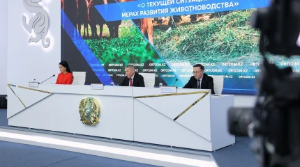 Қазақстанда етті мал шаруашылығының австралиялық моделі енгізіліп жатыр