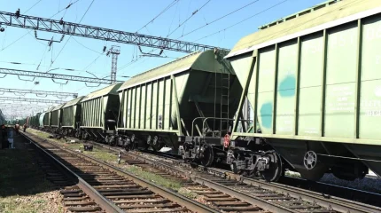 Қазақстан мен Өзбекстан астық тасымалы мәселесін бірлесе шешпек