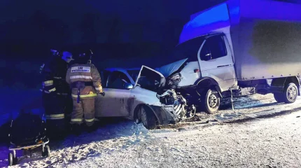 ТЖМ қызметкерлері жол-көлік оқиғасы кезінде адамды құтқарды