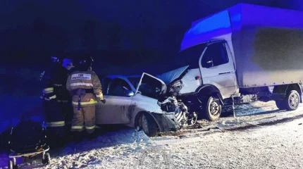 ДТП в Акмолинской области: женщину-водителя зажало в искореженной машине