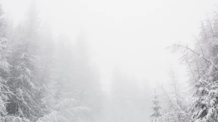 Погода на 9 декабря 2025