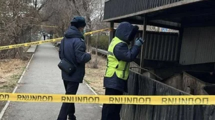 Тело новорождённого обнаружили в мусорном баке в Кентау