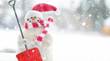 Снегопады прогнозируют во всех мегаполисах в среду, 10 декабря