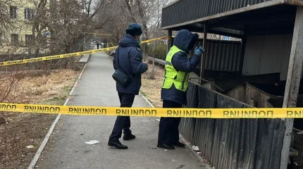 Қоқыстан жаңа туған нәрестенің денесі табылды