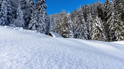 Холодно и переменная облачность: прогноз погоды на 12 декабря