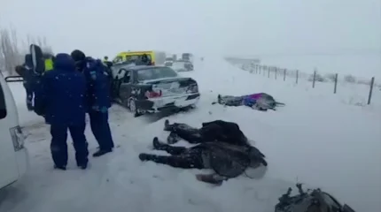 Погибли четверо: смертельное ДТП произошло в области Жетiсу