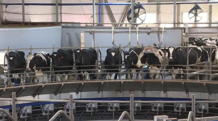 Мәжіліс депутаттары агросекторды жаңғырту жолдарын талқылады