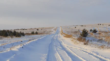 Абай облысында тәртіп сақшылары қар құрсауында қалған жүргізушіні құтқарды