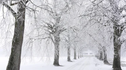 Синоптиктер ескерту жасады