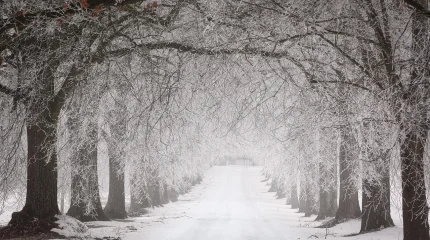 Қай жолдарда көлік қозғалысы шектелді?