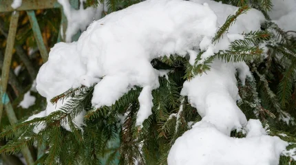 Астану ждёт суровая зимняя неделя: метели, морозы и шквалистый ветер