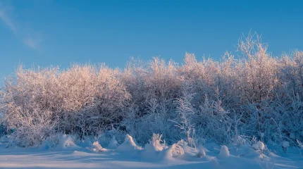 Жёсткая зима вступает в силу: прогноз погоды на 15 декабря 2025