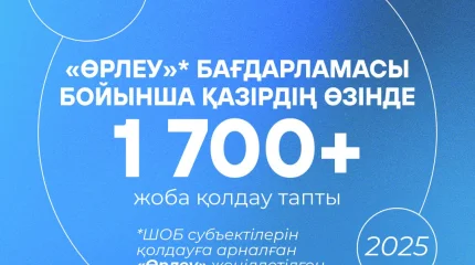 Президент Жолдауын іске асыру: «Өрлеу» бағдарламасы бойынша кәсіпкерлердің 1700 жобасына қолдау көрсетілді