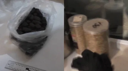 Елорда тұрғынынан каннабис шайыры табылды