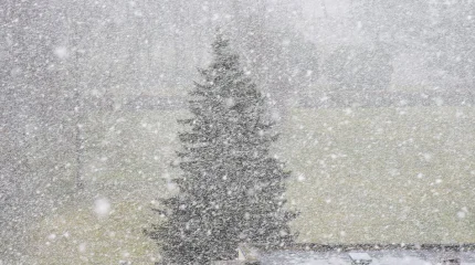 Неделю снегопадов, метелей и морозов прогнозируют синоптики